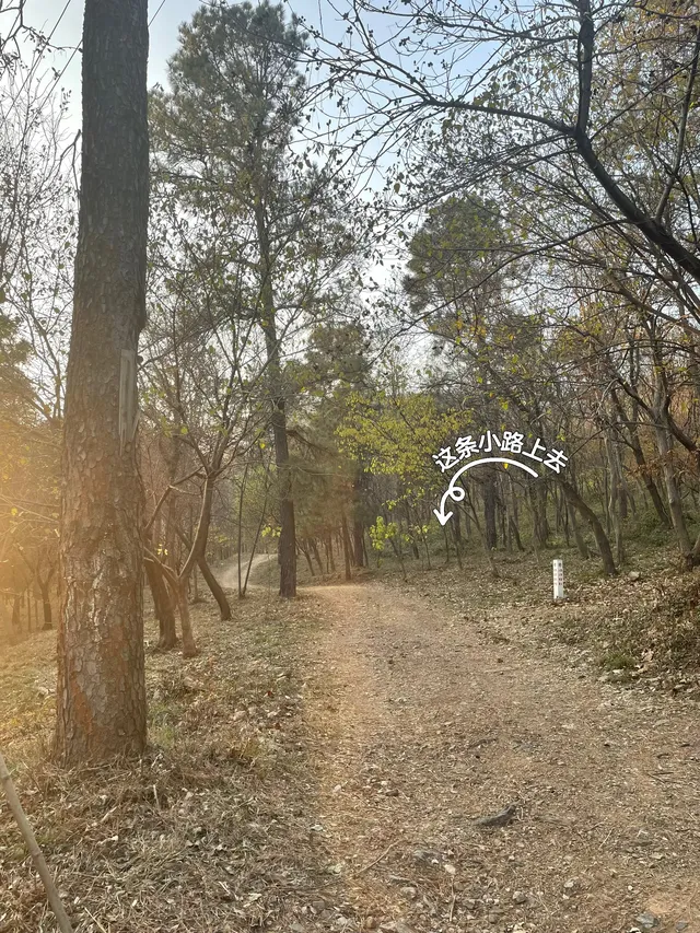 南京浦口隆興寺 | 人少幽靜的古寺 南京浦口隆興寺 | 人少幽靜的古寺