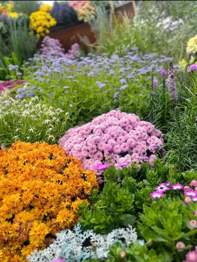 深圳仙湖植物園|遛娃寶藏地打卡賞花絕佳去處 深圳仙湖植物園|遛娃寶藏地打卡賞花絕佳去處