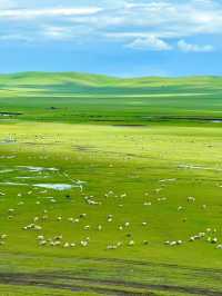 魔都浪漫的秋日遊玩攻略,教你解鎖上海的浪漫玩法~ 【交通指南】 地鐵1號線、10號線至陝西南路站