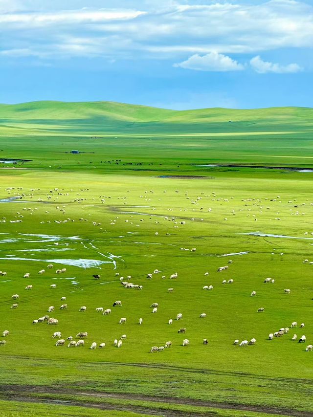 魔都浪漫的秋日遊玩攻略,教你解鎖上海的浪漫玩法~ 【交通指南】 地鐵1號線、10號線至陝西南路站 魔都浪漫的秋日遊玩攻略,教你解鎖上海的浪漫玩法~ 【交通指南】 地鐵1號線、10號線至陝西南路站