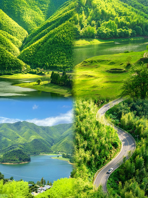 小杭坑(高山草甸营地) 参考图 2