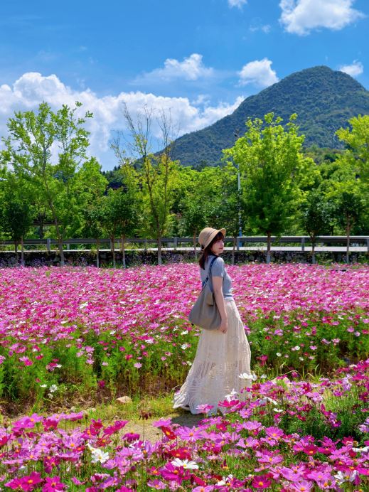 At the first glance after getting off at Nanxi River, you’ll be hit by this sea of pink flowers