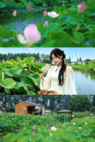 เมืองคุนซานเต็มไปด้วยผู้คนในช่วงฤดูร้อน! และแหล่งที่มาของข้อมูลนี้ก็คือหมู่บ้านหนานหยูนั่นเอง!