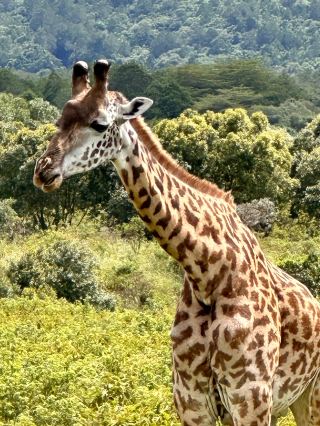 開啟野生動物探險之旅的最佳地點