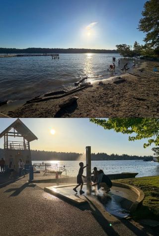 シアトル、ベルビュー：広大な湖畔公園 – 家族での水遊びに最適な場所