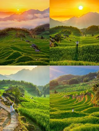 สวยงามจนแทบพูดไม่ออก! นาขั้นบันไดและทะเลหมอกอันสวยงามของมณฑลเจ้อเจียงนั้นงดงามราวกับอัญมณีที่ซ่อนเร้น สวรรค์บนดินแห่งนี้ทำให้ฉันประทับใจอย่างมาก