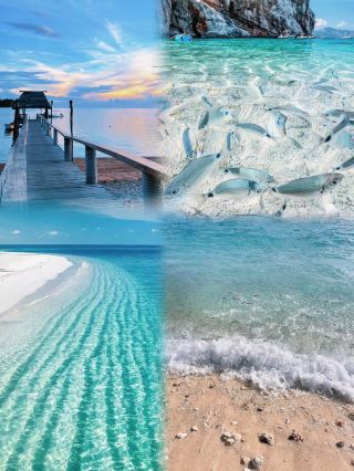 Forget the Maldives! Fiji 5 days 4 nights is the ultimate island trip