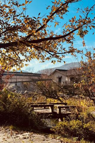  旅遊推薦 | 日本小眾地盤點  如果你厭倦了東京和京都的擁擠喧囂， 那麼日本這些小眾地一定不容