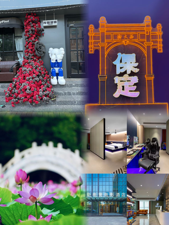 古城赴夏|攬燕趙風華,赴保定人間煙火