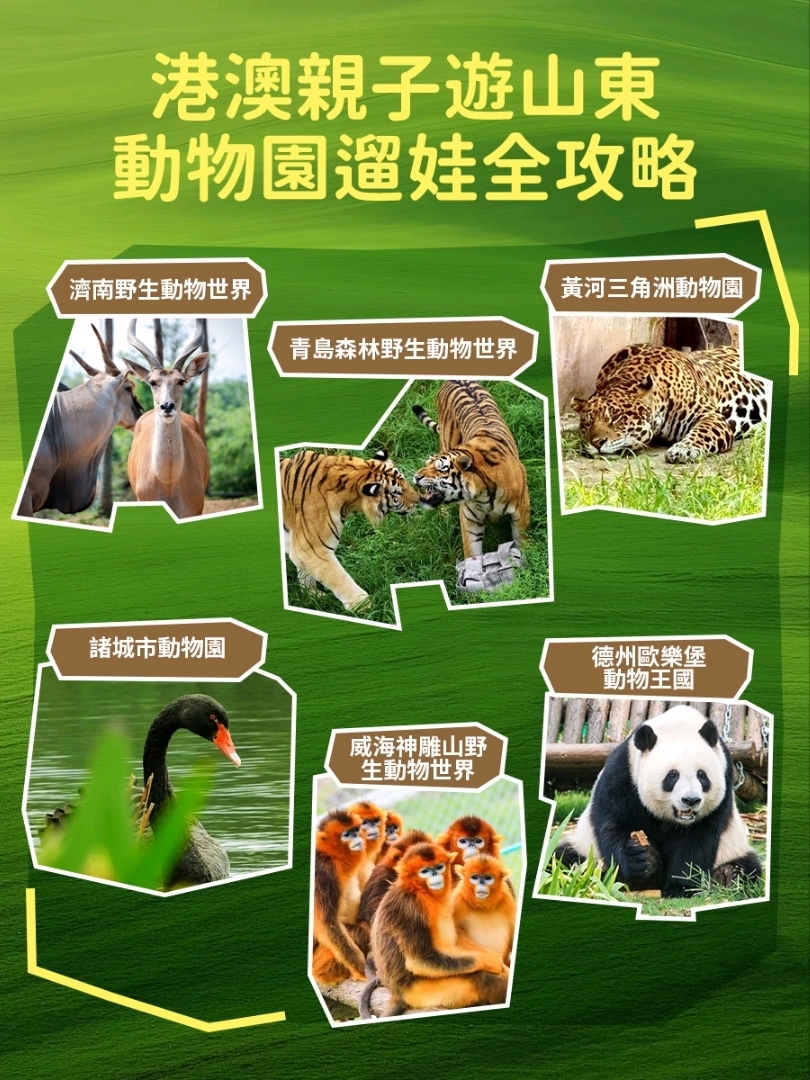 港澳親子遊必逛！山東動物園合集