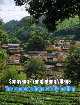 Please visit Songyang at least once! This ancient village truly heals the soul