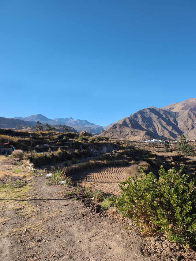 Unforgettable Hospitality and Seamless Trip Planning in Peru Unforgettable Hospitality and Seamless Trip Planning in Peru