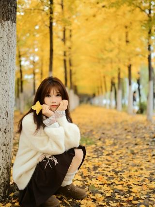 宿州賞秋必去銀杏林