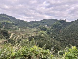 📅 10 to 13 Sep 2026 
 Day1:Mingsu’s owner arranged Shared car service to pick us up at Wuyuan’s hotel to her homestay @¥30/each. Mr Chen picked us up on a tricycle, quite a bumpy We were briefed on the recent changes as only can enter once to Huangling. Staying here you need not pay for the Cablecar rides. However owner has to book the entrance permit for us. Surprisingly it was quite crowded though it was a Thursday. Owner provided pickup when we exit Huangling. 
 Day2: Next morning, we went Huangling again. We decided to explore the mountain instead of the drying areas first. All the crowds are in the drying areas. Such peaceful & relaxing hike around the mountain areas where night time it would be lighted up. We headed to Huangling to watch the shows in the evening. 
 Day3: Explore Xiaoyong Village & accidentally hiked up to the mountain. The people here were friendly and warm. In the evening, we decided to head up to Huangling again to see the light up. It was a Saturday & street food was set up. A nice surprise to try a varieties of food. 
Day 4: Morning, hiked up to He Si Zhou Village with only 18 families comprising of old folks. There is a temple up there & an abandoned Cablecar station which was stopped due to Covid. The folks are hoping to be relocated. This is a raw village. 
Mingsu’s owner also kindly arranged for us a shared car to Sanqingshan @¥100/each. 
 🏨 stay in Xiaoyong Village to avoid taking the Cablecar. 
 🍴 must request for non spicy, non oily food as Huizhou food are pretty spicy. 
 📌 Tips 
