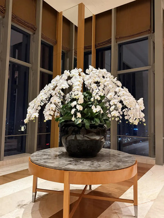 Hilton Shijiazhuang stay experience! The high-altitude suite is amazing