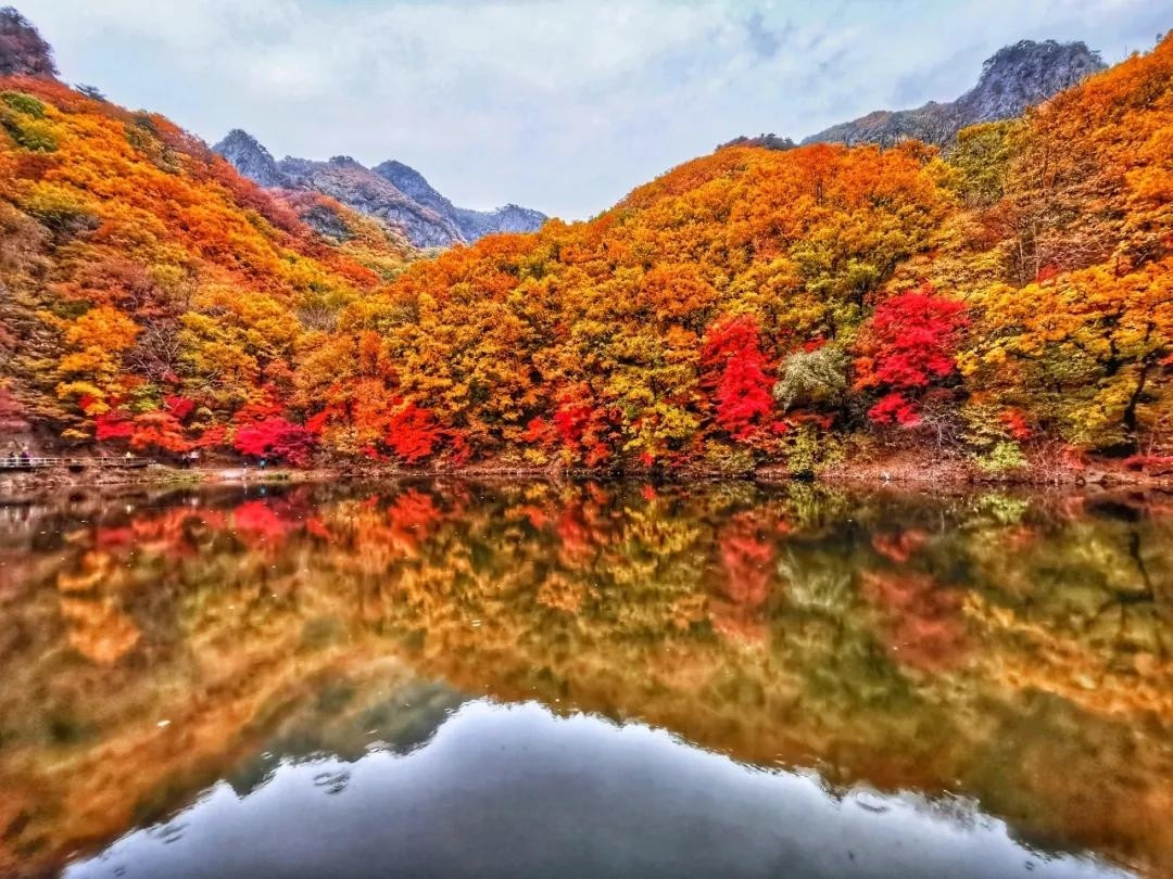Mid-Autumn 