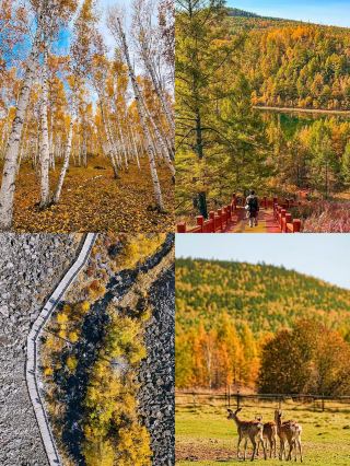 Visiting the Greater Khingan Mountains for the first time? Seriously, don't book a group tour.