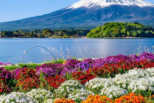 High-value Japan travel guide for seniors, from 3k+ per person