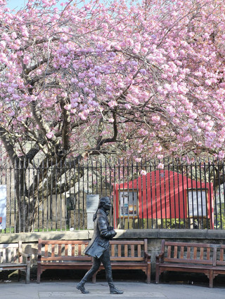 Must-read: The ultimate 5-day UK trip guide to avoid pitfalls