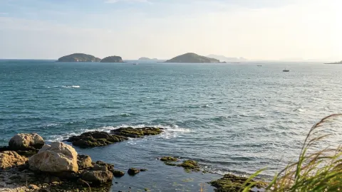 샤오수이커우 삼림공원 종합 가이드 | 북쪽 해파리 해저 천장 — traveler post in 창하이