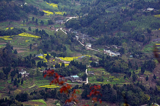 A hidden autumn gem near Chengdu: Qingshen's niche, healing autumn getawayāuncrowded, beautiful, and super relaxing