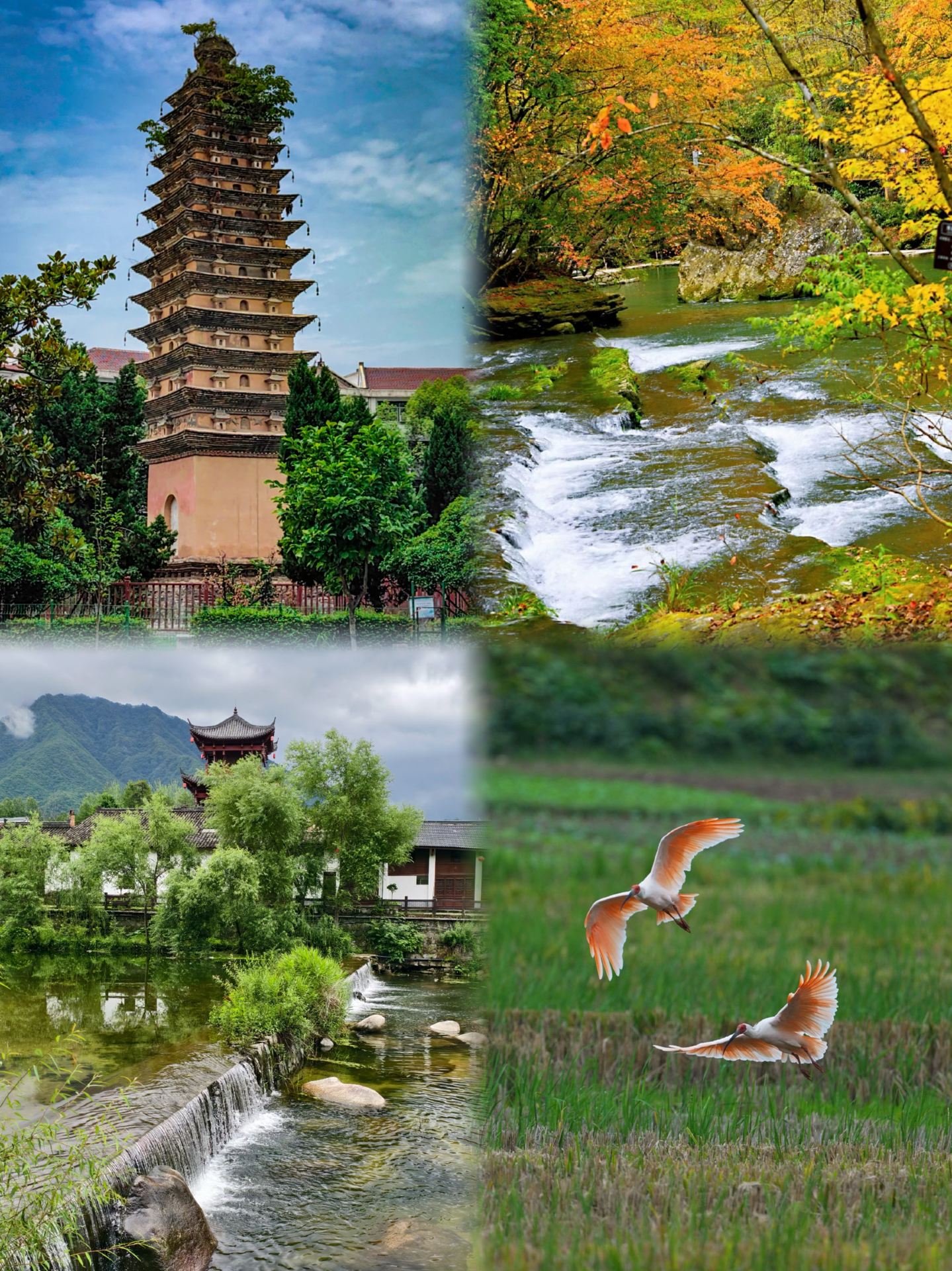 National Day holiday with parents, stress-free, 4 comfortable cities