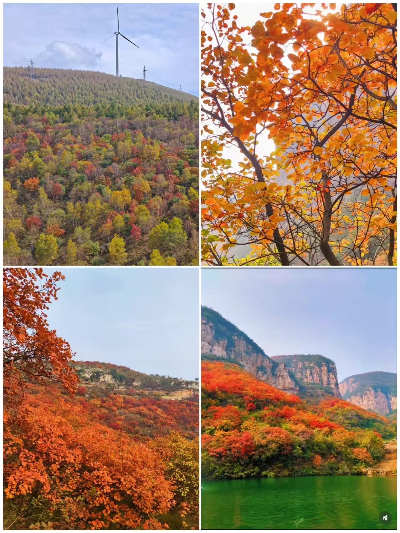 4 Best Autumn Spots in Wuzhou