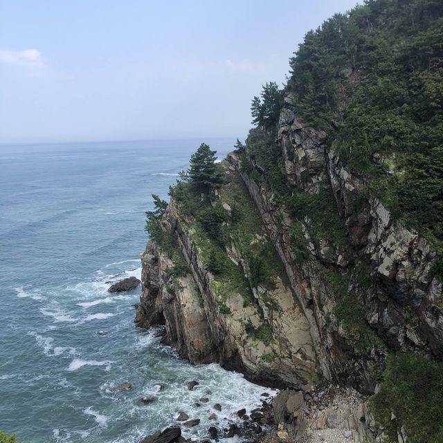 대한민국 최고의 일출 명소, 정동진 해돋이공원 🌅