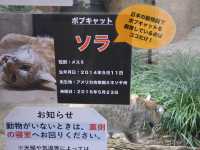 【神戸市立王子動物園】上野動物園並みの大充実