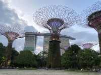 Must-visit place for your 1st Singapore Trip