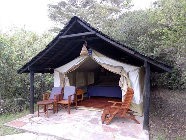 東非masai Mara 帳幕酒店動物大遷徙