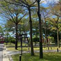 228 Peace Park สวนสาธารณะสวยกลางเมืองไทเป