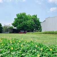 ที่พักสวยราคาหลักร้อย