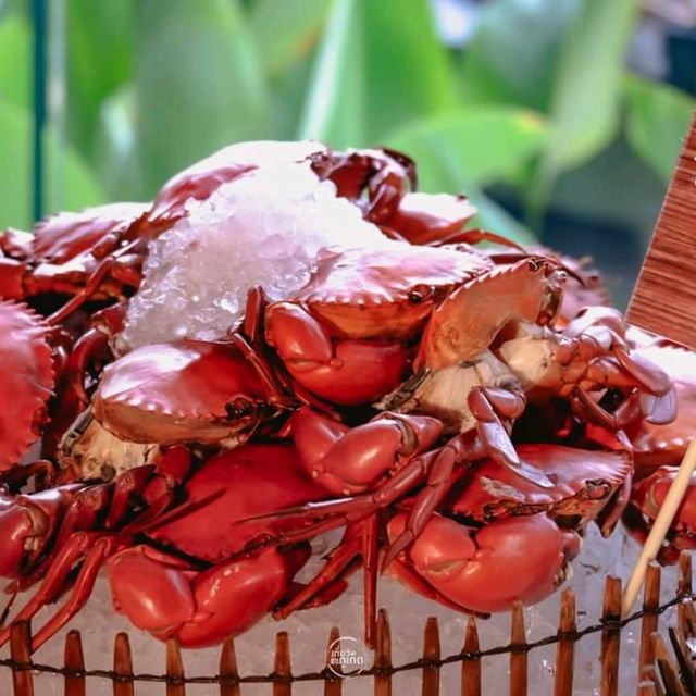 Sunday Brunch Lobster