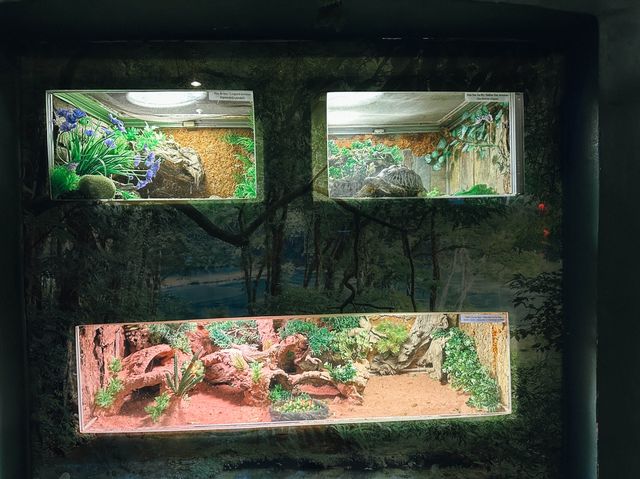 ท่องเที่ยวกับโลกใต้ท้องทะเล Underwater World ญาจาง