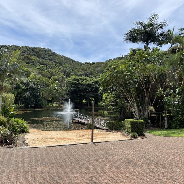 Kuranda your way to the railway!