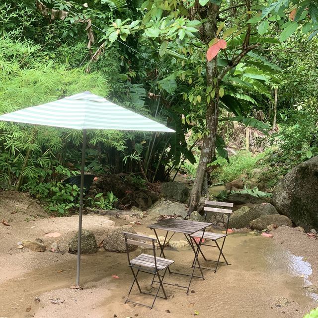 Jungle Cafe 
