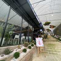 Glass House Cafe: A Hidden Cafe on a Mountain