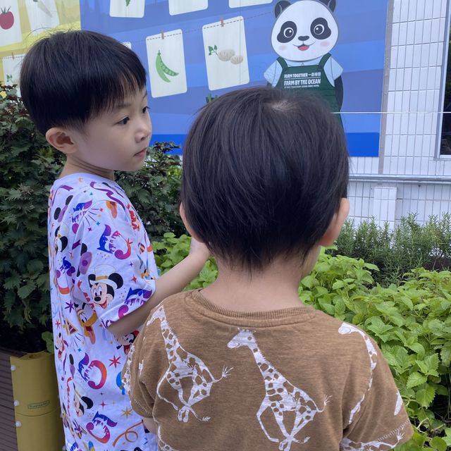親子staycation 