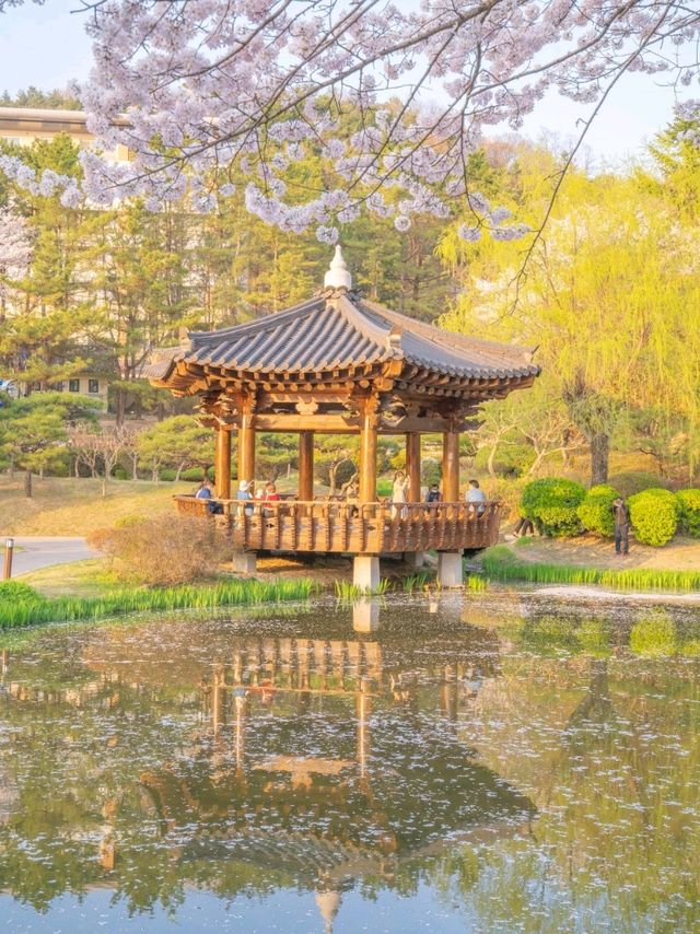 CNN에 소개된적있는 보문정