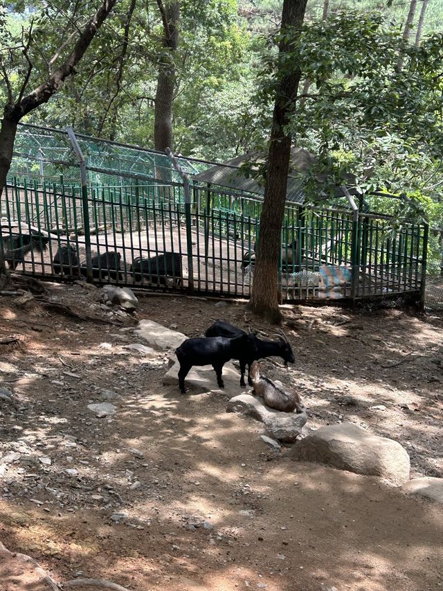 [진주] 진주에도 동물원이..?😮 “진양호 동물원”