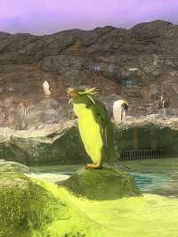 Asia’s Largest Birdpark 🐧
