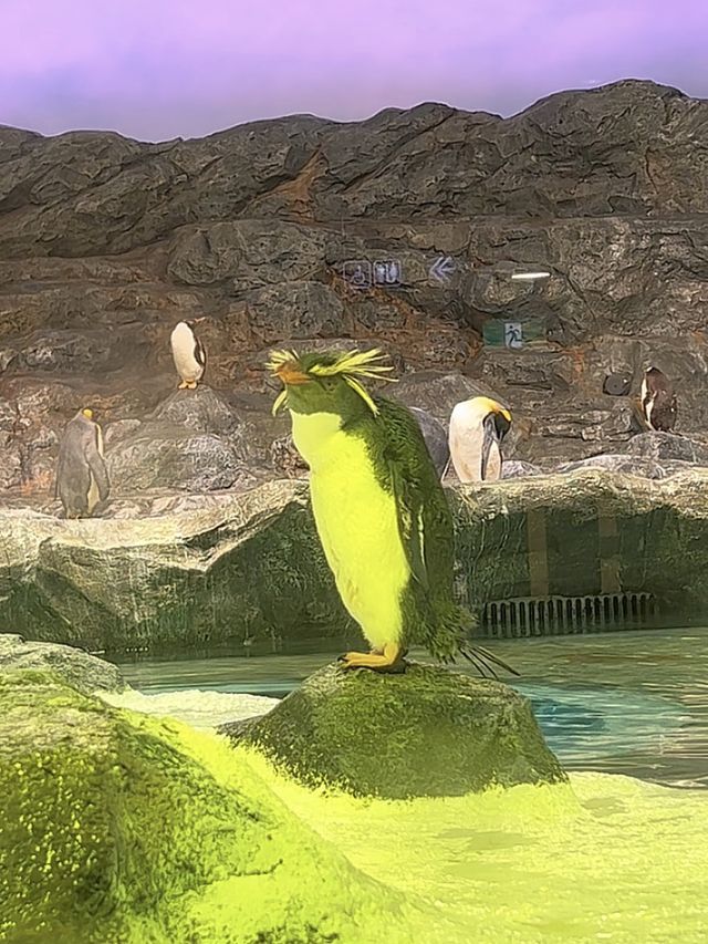 Asia’s Largest Birdpark 🐧