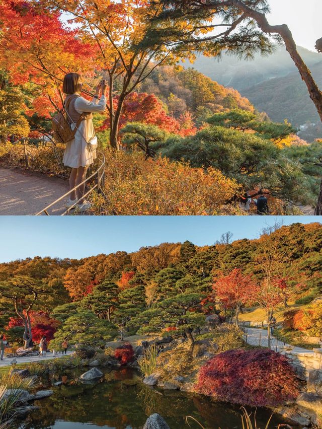 จุดชมใบไม้เปลี่ยนสี ที่สวยสุดในเกาหลี Hwadamsup
