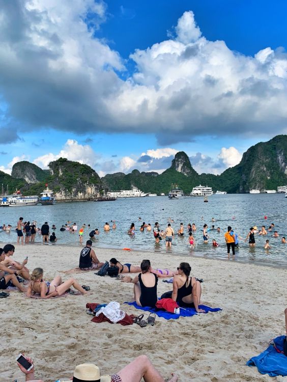 🇻🇳🌊Chill Beach Vibes🌊🇻🇳