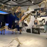 📍香港航空展覽🌟一睹舊啟德機場面貌及相關航空歷史㊙️免費體驗模擬飛行攻略