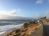 물개가 살고있는 샌디에고 La jolla cove 🖼️