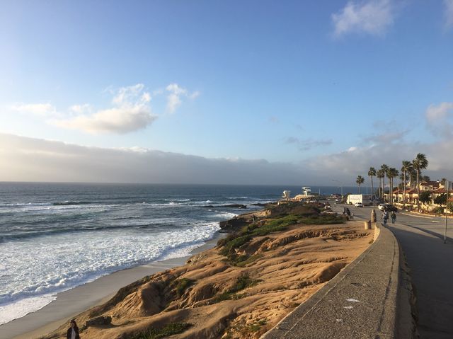 물개가 살고있는 샌디에고 La jolla cove 🖼️