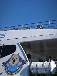 西澳的Rottnest Island：水清沙幼沙灘與微笑袋鼠的天堂！🏝️🌊🦘
