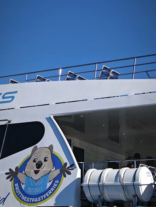 西澳的Rottnest Island：水清沙幼沙灘與微笑袋鼠的天堂！🏝️🌊🦘